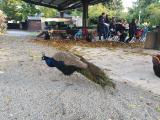 Tierpark Sta&szlig;furt 2021