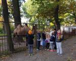 Tierpark Sta&szlig;furt 2021
