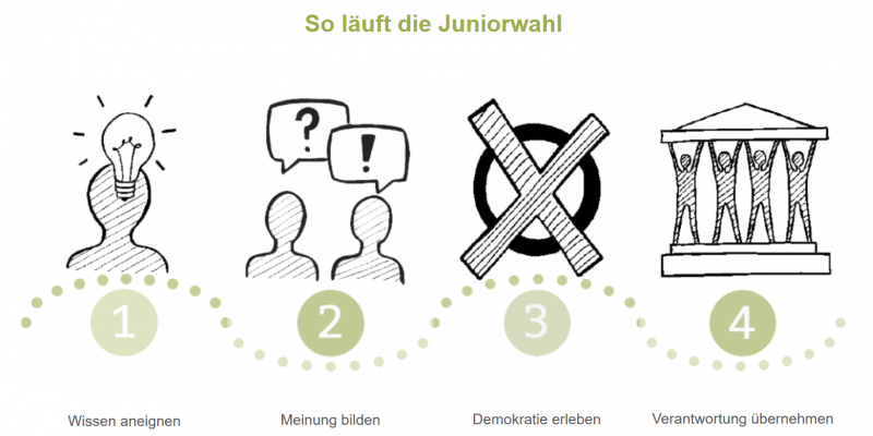 ablauf_der_juniorwahl.png